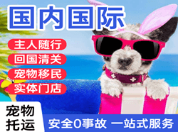 昆明长水航空快运国际宠物托运 【国
